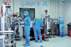 什么是gmp車間,？