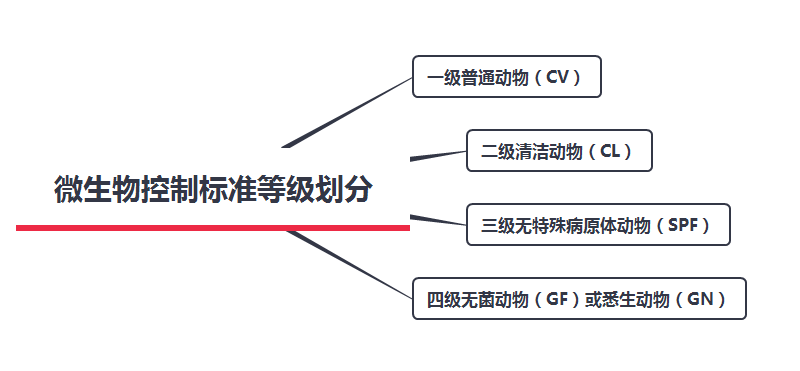 動物實驗室規(guī)劃需要知道的微生物控制標準等級劃分